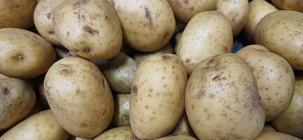 close up of a bunch of potatoes photo