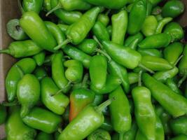 grupo de verde chiles en mercado foto