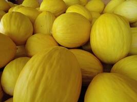 melons in a market photo