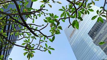 modern building with blue sky photo