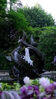 fontän i de form av tre stör fisk japansk trädgård de känd trädgårdar av slaktare på victoria ö. Kanada. de butchart trädgårdar video