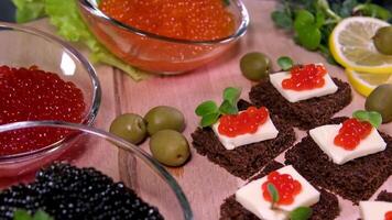 Sandwiches with red and black caviar on white and Borodino bread video