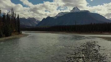 aereo Visualizza di il athabasca fiume nel alberta, Canada. video