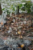 rainwater is falling from the sky onto the ground photo