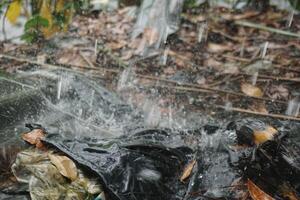 rainwater is falling from the sky onto the ground photo