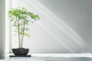 A single bamboo plant beautifully planted in a Zen-inspired container. photo