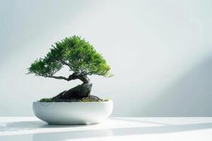 un bonsai árbol plantado en un limpio, minimalista maceta. foto