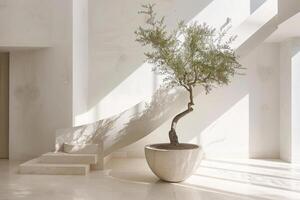 Carved olive trees displayed in stylish marble pots photo