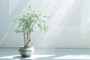 un soltero bambú planta hermosamente plantado en un de inspiración zen envase. foto