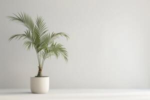 Imagine a slender palm tree growing in a modern pot. photo