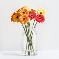 An elegant glass vase with clusters of lively Gerbera flowers. photo