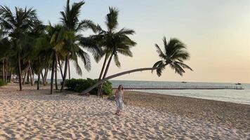 flicka gående på de strand paradis stränder av fukuoka phu quoc sonasea strand. handflatan träd hav solnedgång indisk hav lyx resa resa byrå destination skönhet av natur resten avslappning video