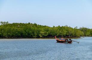 long tail boat and mangrove forest background at Trang THAILAND photo