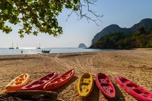 paisaje de farang playa o charlie playa, allí son canoas en el arenoso playa en koh muk, trang provincia. foto