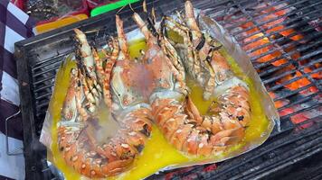 Close up easy homecook meal served several red orange color arranged aligned perfectly cooked garlic butter lobster tails with parley baked or broiled for lunch and dinner at home video