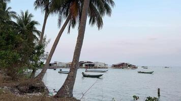 pescar barcos en el agua de el indio Oceano Vietnam phu quoc isla el belleza y suciedad de pobre vida en Vietnam en el isla palma arboles intacto naturaleza y basura lavado en tierra barcos video