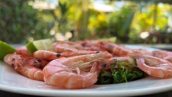 A la parrilla río langostinos o camarones Mariscos estilo video