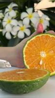 Composition of fresh oranges and leaves on a wooden stump video