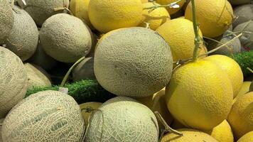 de cerca de melones acostado en el mostrador de un calle mercado. amarillo galia melones a un agricultores mercado en Pakistán mercado, calle alimento, sano y refrescante. hermosa 4k imágenes. video