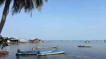 vietnam phu quoc île pêcheurs maison dans le Indien océan pêche bateau capture grandir poisson poisson ferme restaurant sur le l'eau capture poisson grandir filets en bois maison video