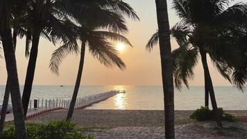 inclinazione giù durante esotico tropicale mare spiaggia tramonto con palma alberi nel il primo piano Paradiso spiagge vicino alberghi. viaggio viaggio agenzia destinazione bellezza di natura riposo rilassamento video