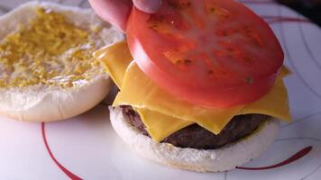 proceso de preparando un hamburguesa americano comida rápido comida a hogar bollo mostaza poner el chuleta untado el salsa prensa el un pan poner el tomate añadir salsa de tomate video