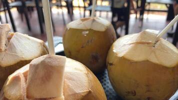 Four coconuts with drinking straws Plate with coconut shell drink on outdoor restaurant table video