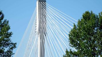 porta mann ponte Canadá sobre a fraser rio dentro bc interessante incomum cenas do ponte a partir de inferior acima verde árvores Ferrovia terra em sifão do azul sem nuvens céu fundo para publicidade texto video