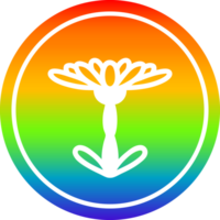 bloeiende bloem cirkelvormig in regenboogspectrum png