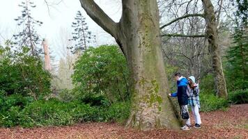 Stanley park tiener wandelen nemen afbeeldingen voor de gek houden in de omgeving van op zoek Bij bomen chatten voorjaar koel weer toeristen rugzakken telefoons pret eerste datum wandelen houden handen jongen en meisje schoolkinderen schieten video