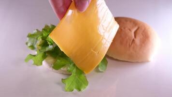 plier une Burger créer une Burger couverture avec une chignon mettre oignon escalope tomate verser moutarde ketchup mettre fromage et salade propager Mayonnaise sur le chignon le entier processus dans différent s video