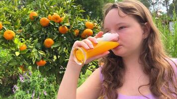 de meisje drankjes oranje sap tegen de achtergrond van een mandarijn boom, het kan worden oranje sap mandarijn mango ze drankjes hebzuchtig en werkelijk houdt de sap heerlijk overal Groenen en zomer video