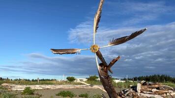 wooden house from boards in childhood on the ocean the windmill propeller on the house is made from the feathers of a large bird Eagle a hut on the seashore made of trees that broke down from a storm video