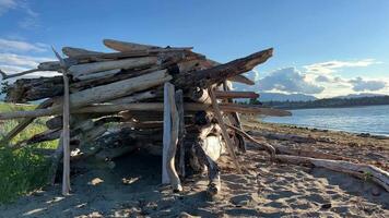 Kinder- Haus auf das Strand gemacht von Stücke von gebrochen Bäume wie wenn Abonnieren Baum Haus trocken ruiniert Bäume Steine Sommer- Ferien video