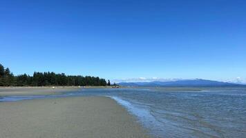 the coast of the Pacific Ocean on Vancouver Island, it can be seen that there was a low tide and now the calm of the wave is barely splashing on the amulet calm silence Rathtrevor Beach, Parksville video