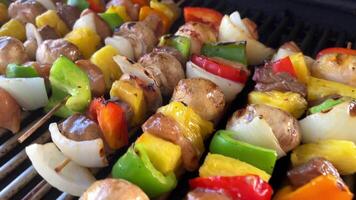 delicious kebab with lots of vegetables chicken and beef fried on a barbecue on the grill turn over and smear with sauce it has pepper onion mushrooms pineapple bright colors of vegetables association video