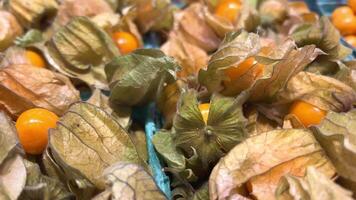 Physalis Physalis, sometimes called Emerald Berry or Earth Cranberry, Peruvian Gooseberry, Bubblegum, Pesya Cherry, Marunca, Strawberry Tomato used to decorate confectionery video
