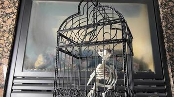 Bird skeleton sits in a cage Halloween in full swing Close-up of halloween decoration Camera static does not move the chain above the head of the skeleton is staggering Marble tiles in the background video