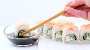 rodar Filadelfia con camarón en un blanco plato ocho piezas Pepino aguacate Filadelfia queso espacio para texto sushiya restaurante Asia Japón delicioso comida sano video