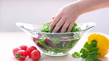 ein Frau Koch im ein gestreift Schürze ist ist reißen frisch gewaschen, frisch, sauber Blätter von Grüner Salat in ein trennen Glas Schüssel. sie ist gelegen im ein rustikal Stil Küche. video