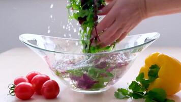 Super Slow Motion Shot of Flying Cuts of Colorful Vegetables and Water Drops on Black background video