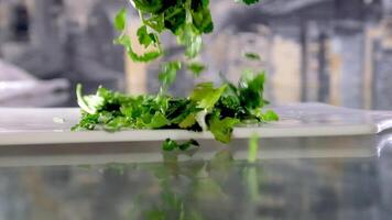 femme mains élever haché coriandre ou persil plus de le table saupoudrage, à la recherche par délicieux feuilles de verdure fermer de mains femme habilement couper coriandre. video