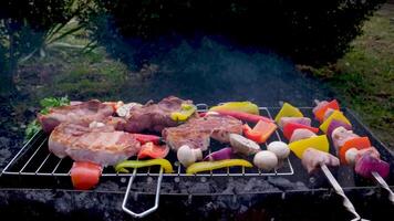 kokta saftig biff kött nötkött borstat med rosmarin på en flammande grill omgiven förbi Övrig kött och korvar. långsam rörelse video