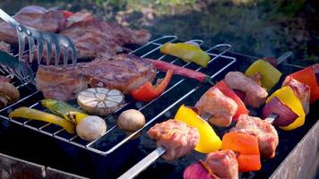 carne e legumes estão frito em espetos. fechar acima. video