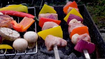 Skewers with delicious kebabs or barbeque on brazier, cam moves to the right, slider video