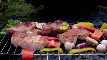 Skewers with delicious kebabs or barbeque on brazier, cam moves to the right, slider video