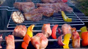 Meat with vegetables and sausages on the grate to cook on charcoal video