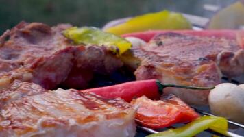 Cooked juicy steak meat beef brushed with rosemary on a flaming grill surrounded by other meat and sausages. slow motion video