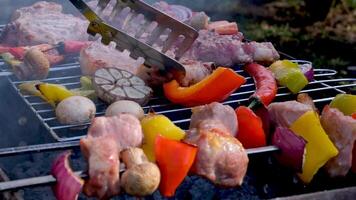 Meat and vegetables are fried on skewers. Close up. video