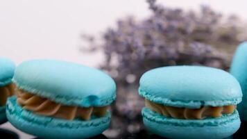 wervelende blauw macaron lavendel of bru kaas smaak Aan zwart bord wervelende heerlijk toetje restaurant portie zoetheid Frans toetje lunch chef schotel veel van toppings amandel meel langzaam beweging video